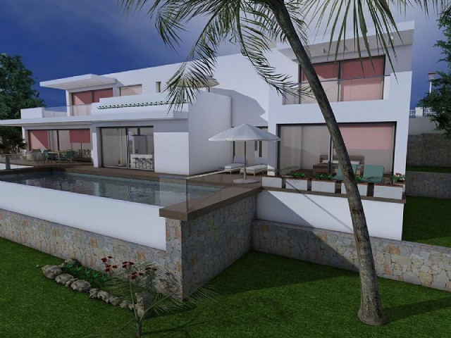 Imagen 2