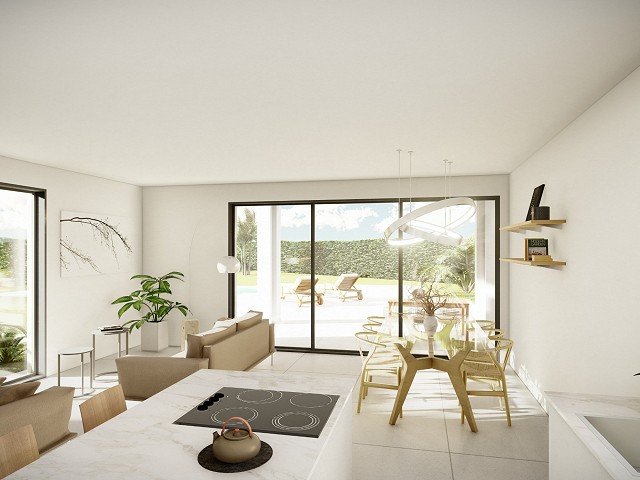 Imagen 5
